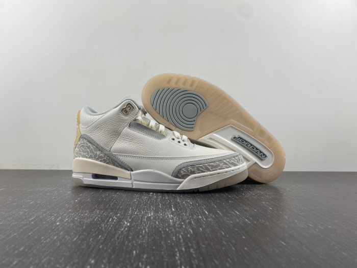 air jordan 3 retro se